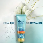 Infographic: Head&Shoulders DERMA Xᴾᴿᴼ Revitaliser Anti-dandruff Conditioner- FROM DRY TO REVITALISED