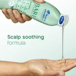 BARE SOOTHING HYDRATION ANTI-DANDRUFF SHAMPOO FOR DRY SCALP bottle with a subtitle "Scalp soothing formula"