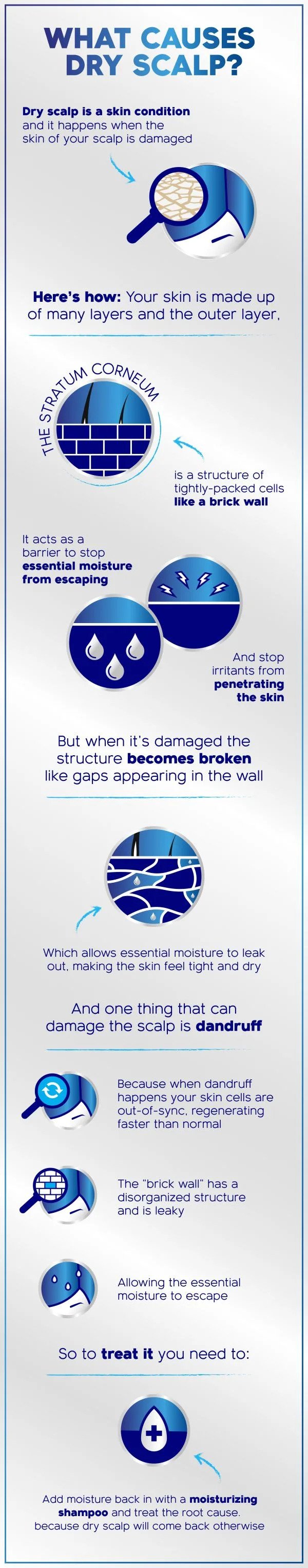 'Dry scalp or dandruff?' infographic comparing two scalp issues.