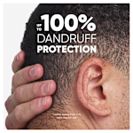 Infograpahic: Up to 100% dandruff protection *visible flakes from 2 ft. with regular use