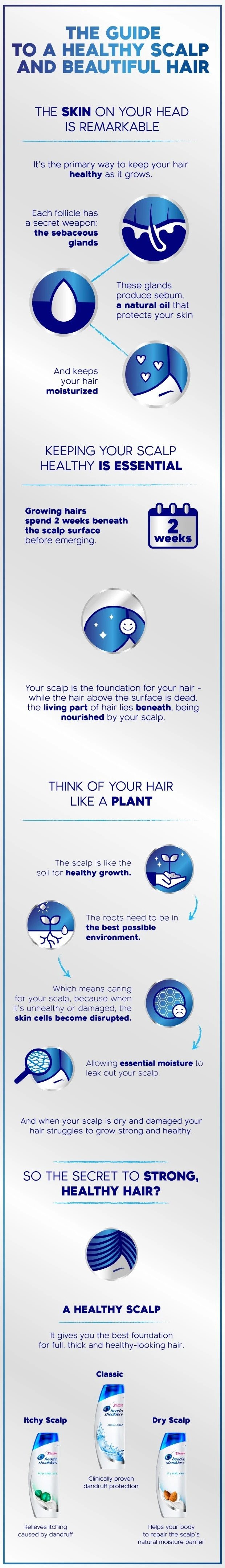 Infographic: How Switching Your Shampoo Affects Your Hair?