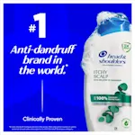 Head & Shoulders Itchy Scalp shampoo, #1 anti-dandruff brand in the world.