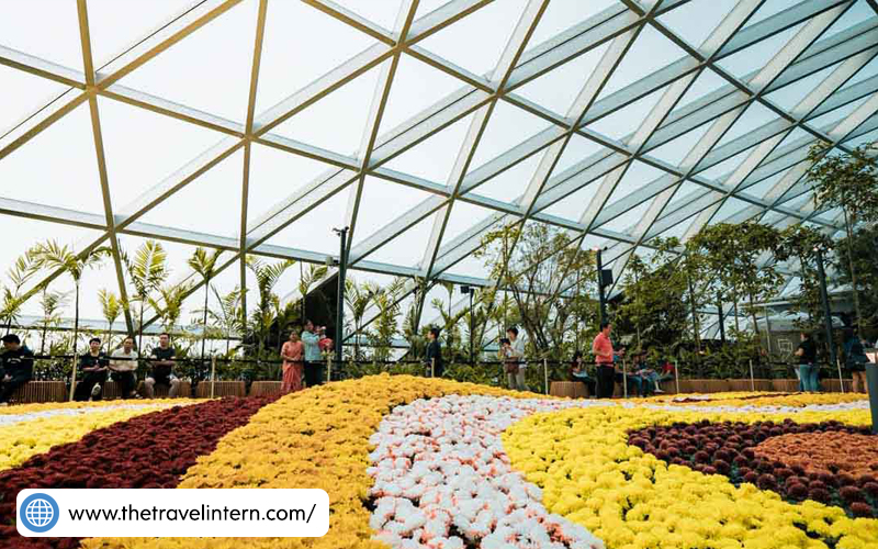 10 Things To Check Out at Jewel Changi Airport | Partipost