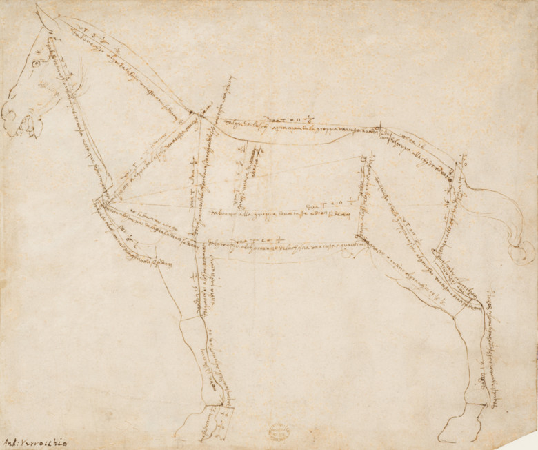 20260517_AndreaDelVerrocchio_MeasuredDrawingOfAHorseFacingLeft