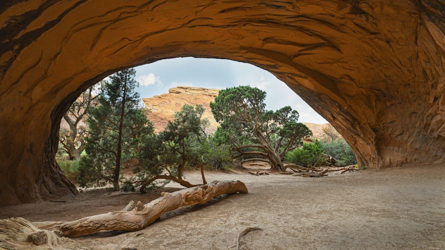 Peor: The Mountain and God of the Moabites