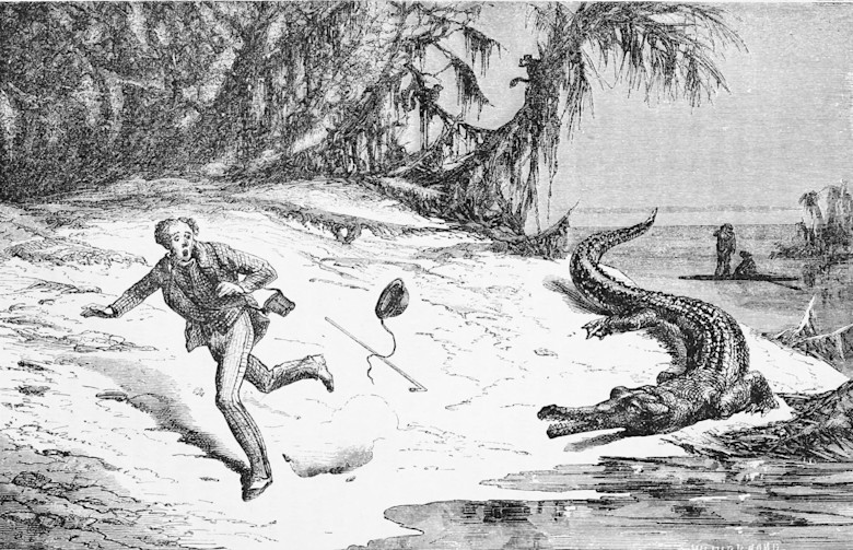 20260511_TheEnglishmanAndTheCaiman
