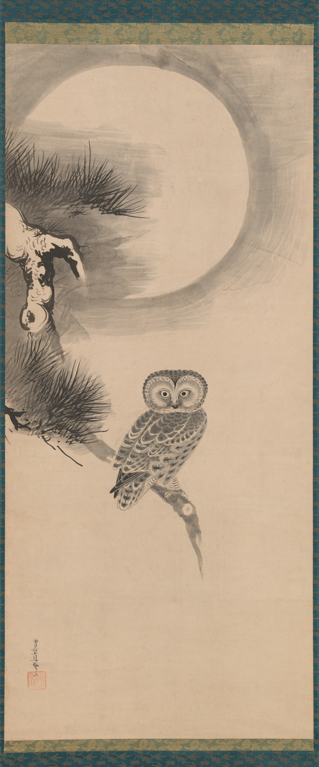 20260520_SogaNichokuan_OwlOnAPineBranch