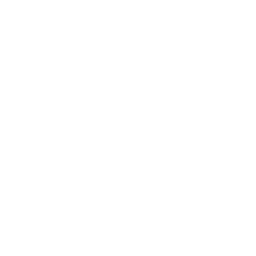 Sun Icon