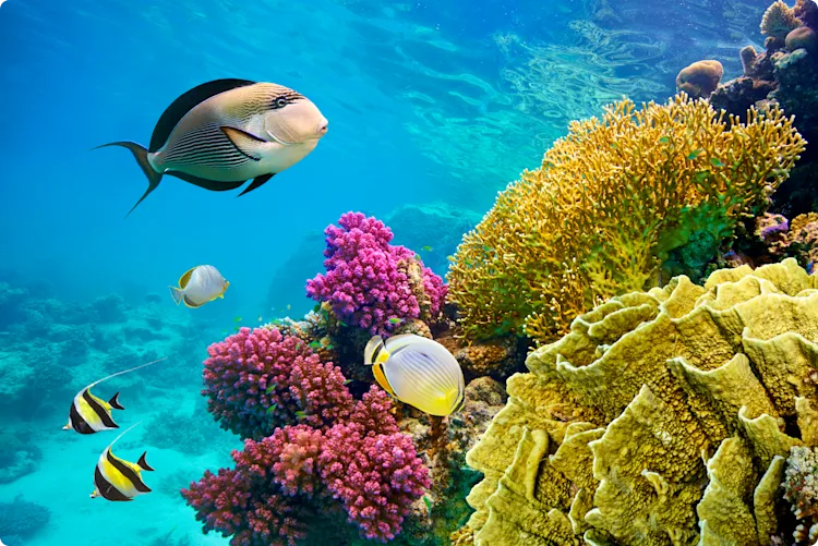 life at easyJet on course for change