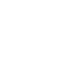 Icon Bag