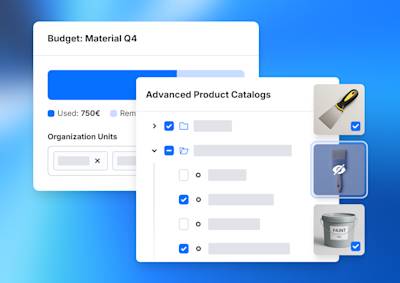 Screenshots of the Advanced Product Catalog B2B feature and Budgeting feature
