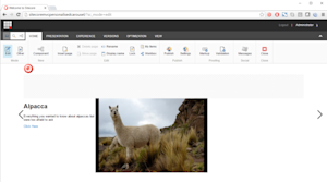 Adding a Carousel to a Page