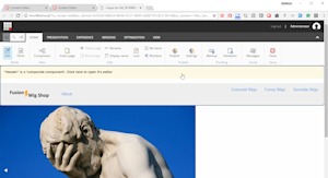 Composite Components Experience Editor View
