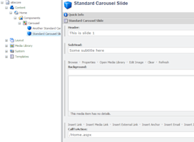 Carousel Slide Content Fields