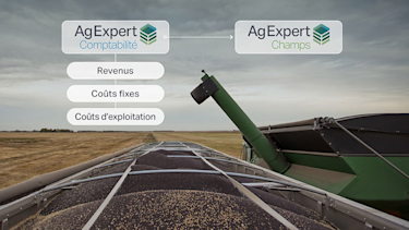 Intégration d'AgExpert Comptabilité et AgExpert Champs avec les catégories Revenus, Coûts fixes et Coûts d'exploitation sur un paysage agricole avec du canola récolté