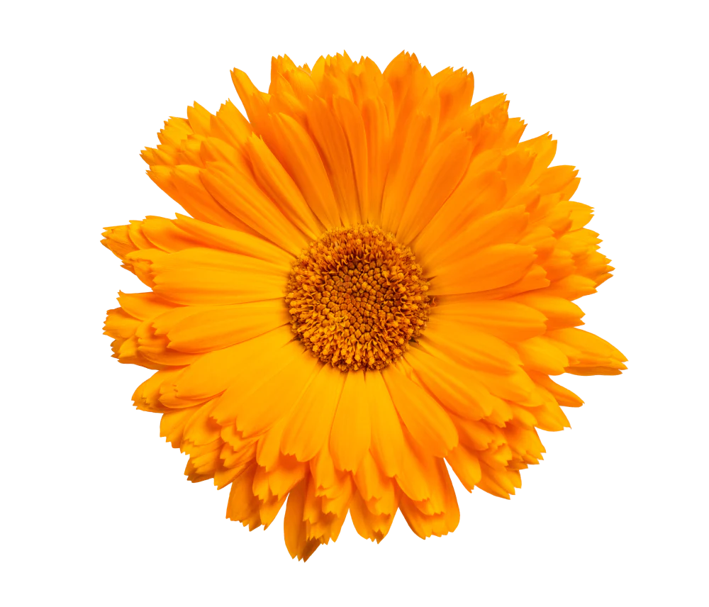 AdobeStock 294208500