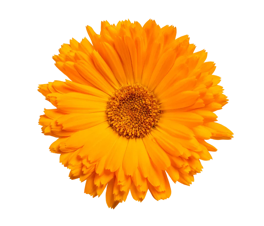 AdobeStock 294208500