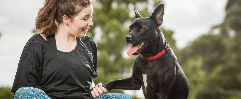 Benefits of Adopting a Rescue Pet | PETstock Blog | PETstock