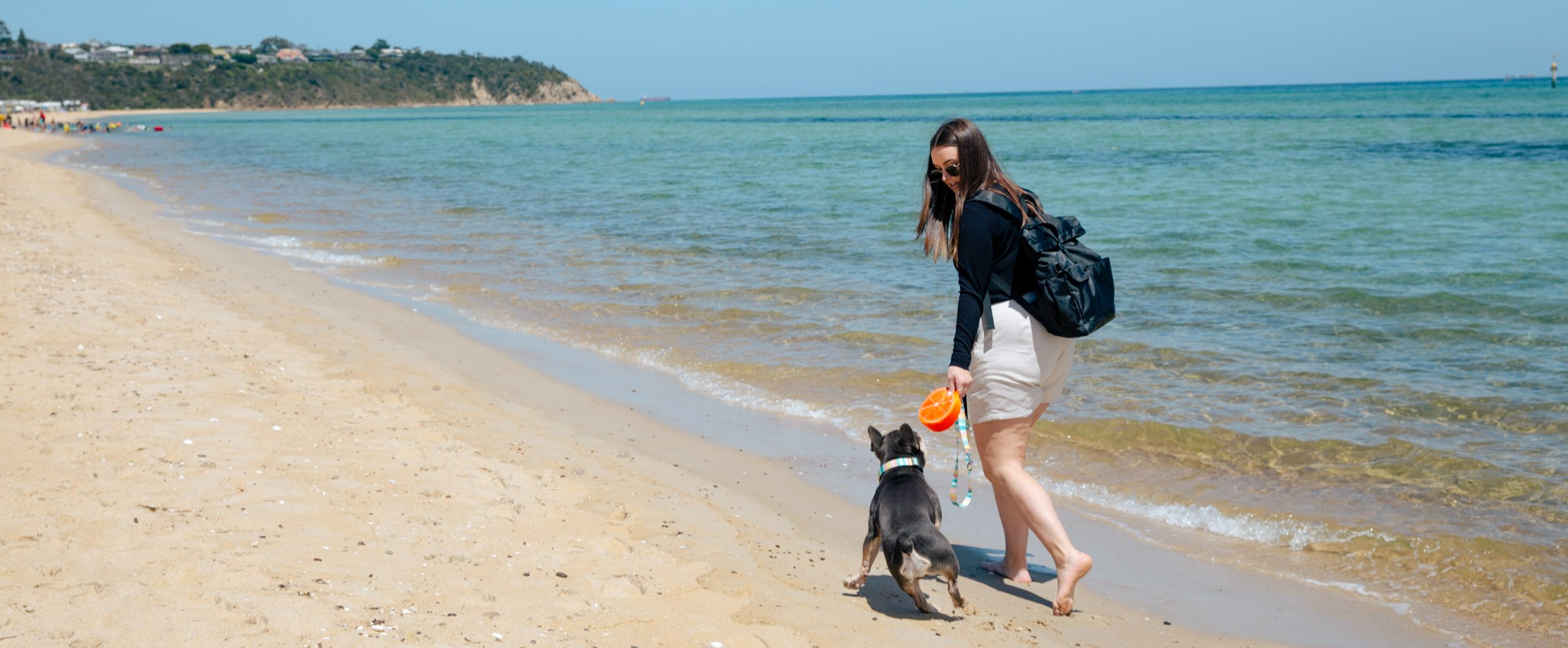 Summer Travel Our DogFriendly Guide to the Mornington Peninsula Petstock
