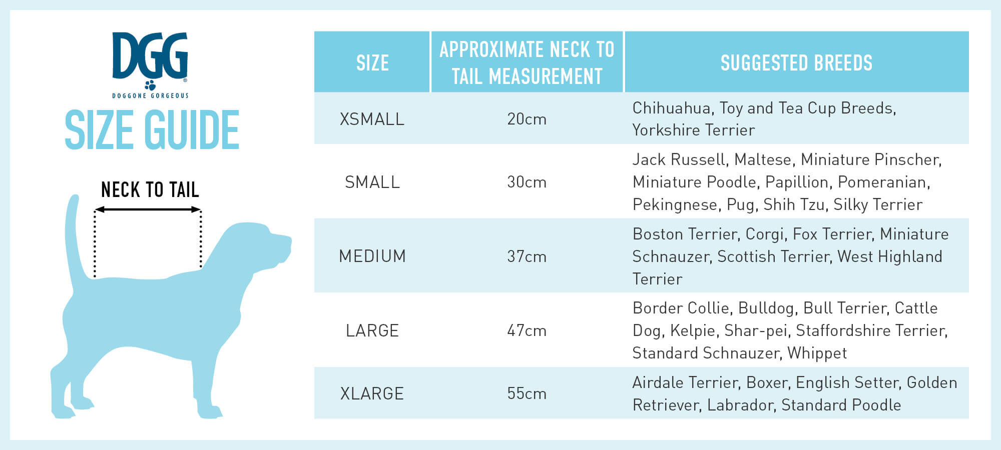 Understanding Dog Sizing Charts How to Fit Clothing PETstock