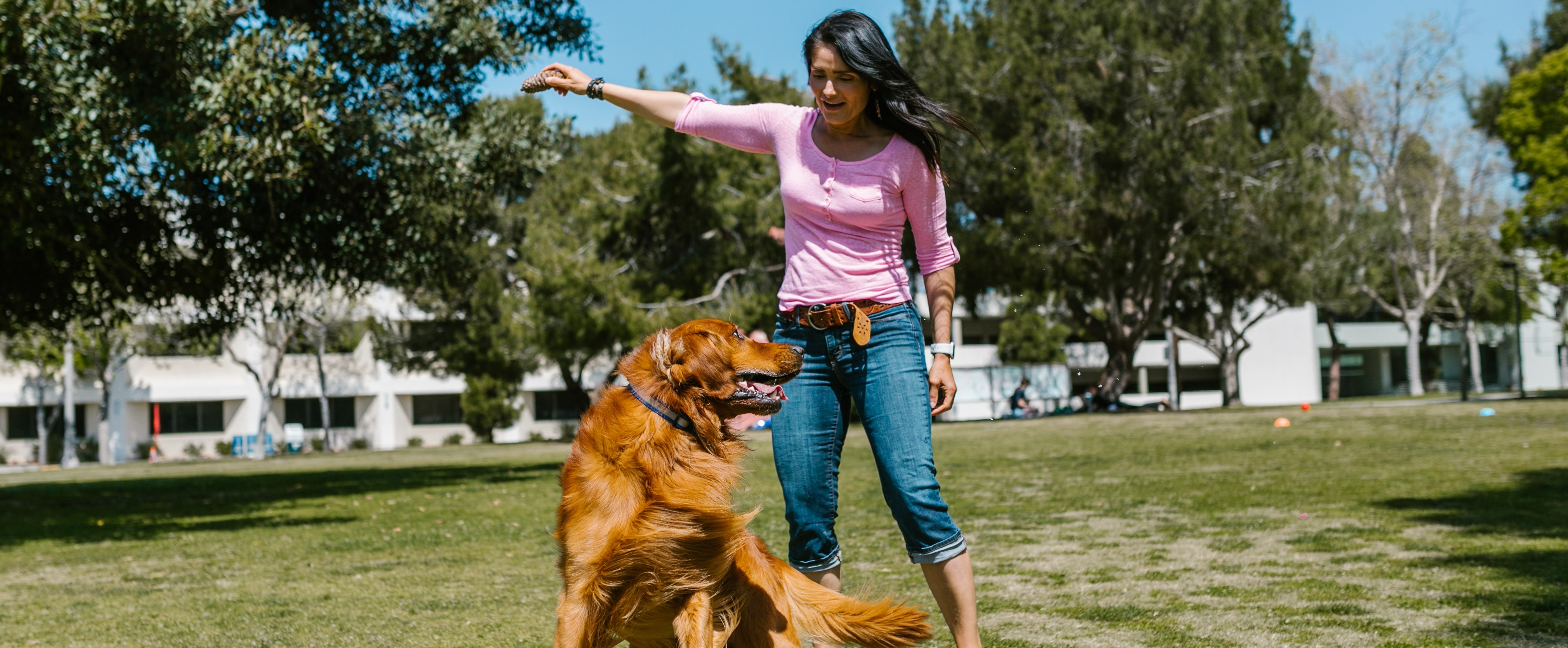 DaySmart  Brain Games for Dogs: Promoting a Happy Disposition