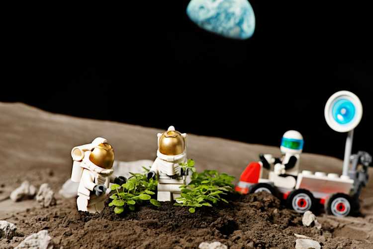 Lunar Farming Your Job lunar-farming-your-job