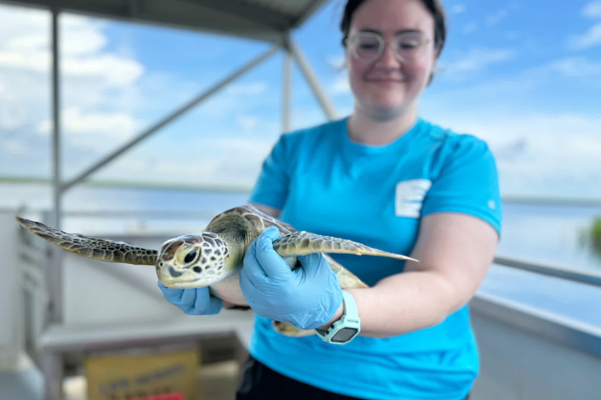 A marine biologist smiles at a turtle she's holding, while standing on the deck of a boat