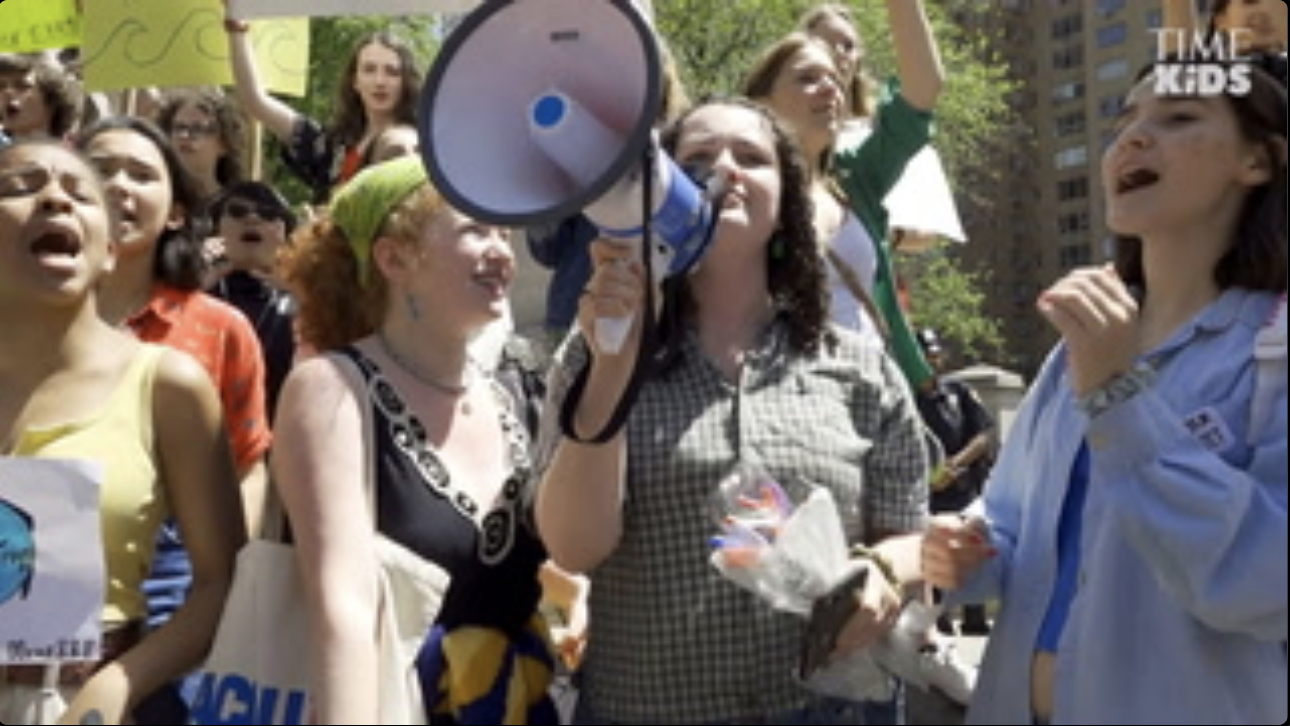 Young people gathered to protest at a climate change rally. 