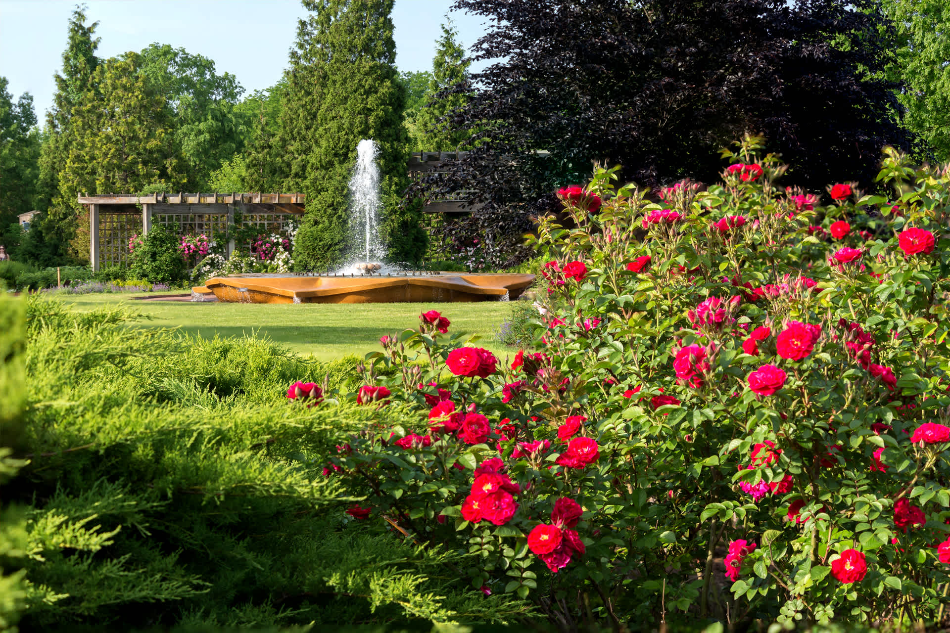 A fountain, flowers, and greenery at the Chicago Botanic Garden