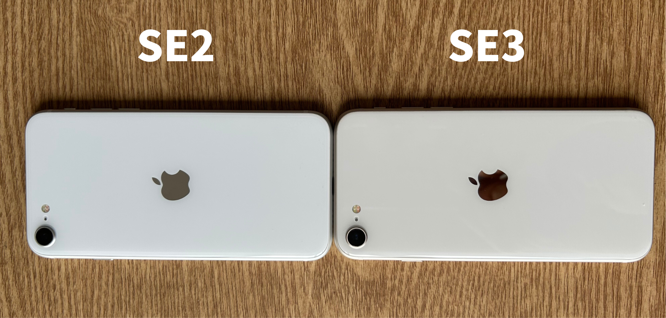 iPhone SEシリーズのサイズ比較：画面の大きさや特徴でmini・iPhone