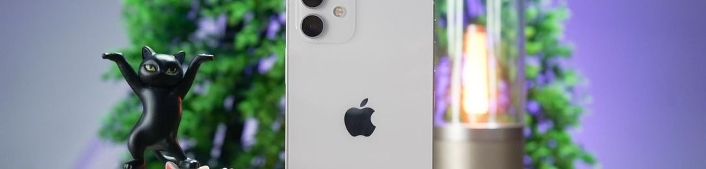 iphone 12 vs pixel 5