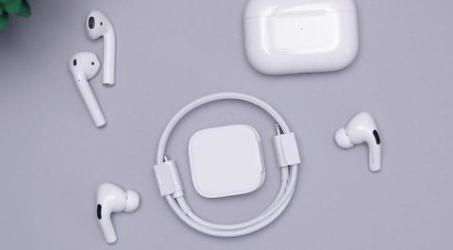 Apple せわしなく AirPods Pro 第1世代 【訳あり】中古 正規品