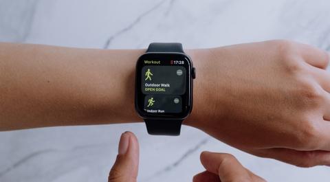 Fitbit garmin 2024 apple watch