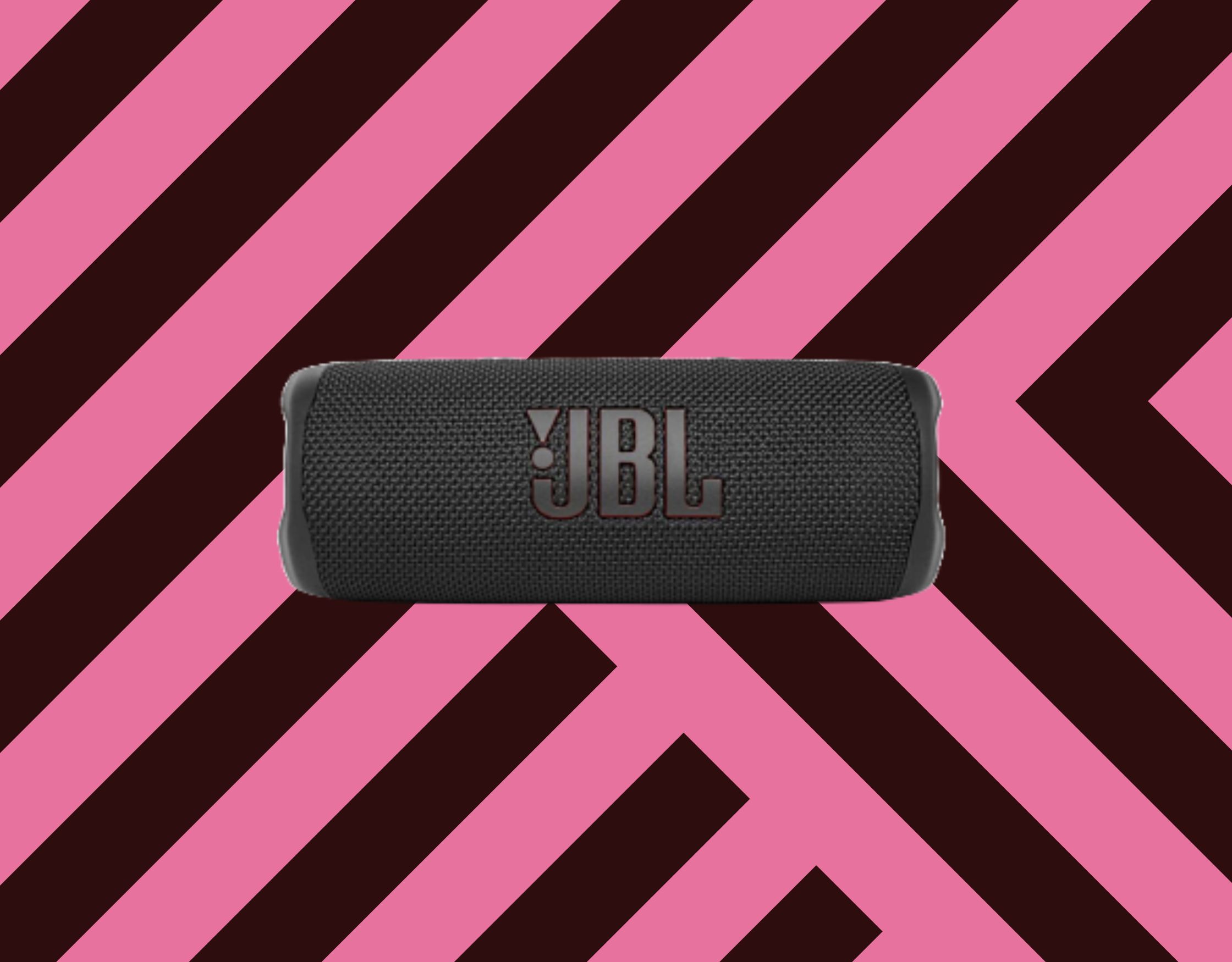 JBL-Flip-6-mod