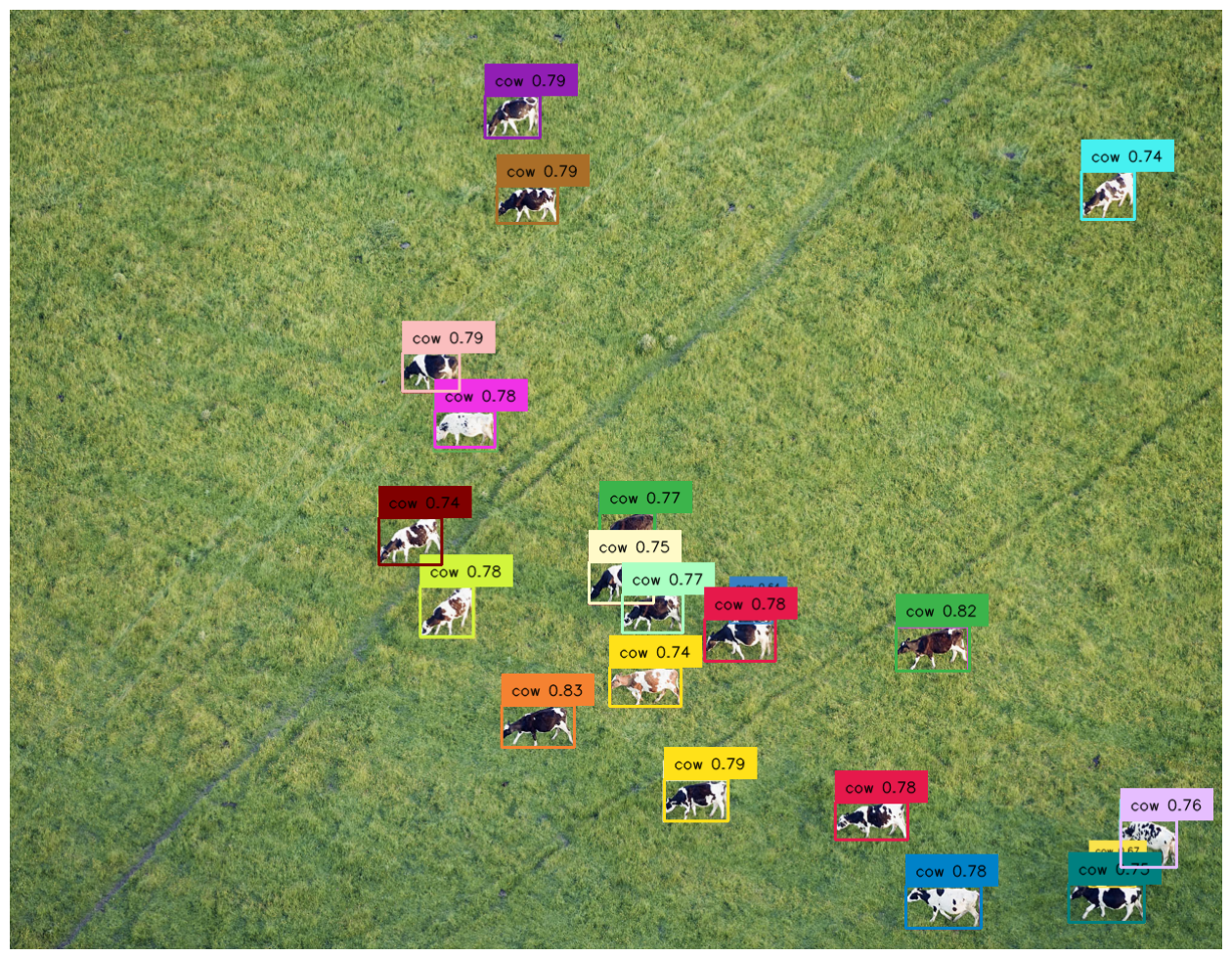 cows image recognition