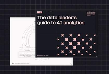 DataLeaders-abridged-resourceimage