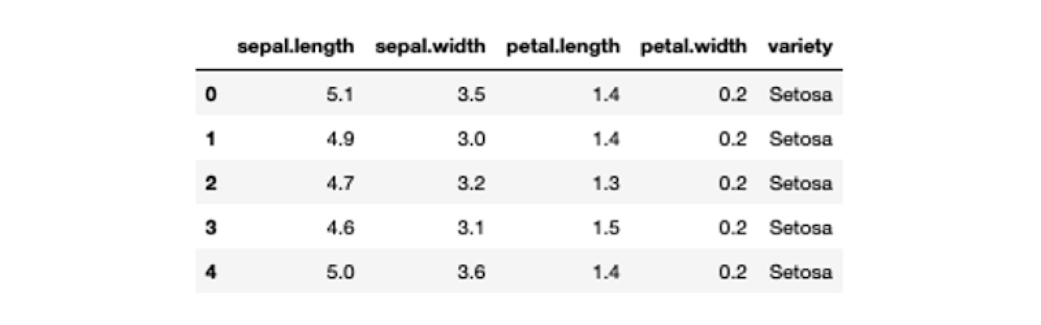 Accessing Data in Jupyter with Python | Hex