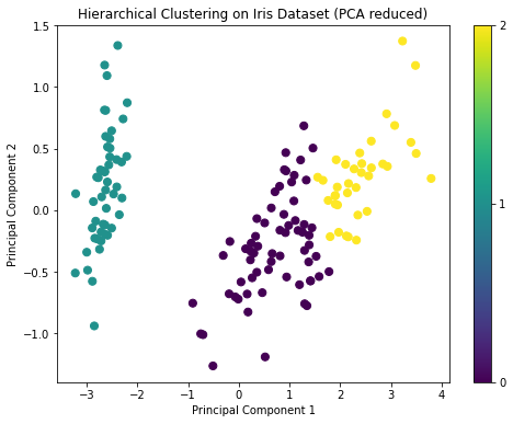 Hierarchical Clustering