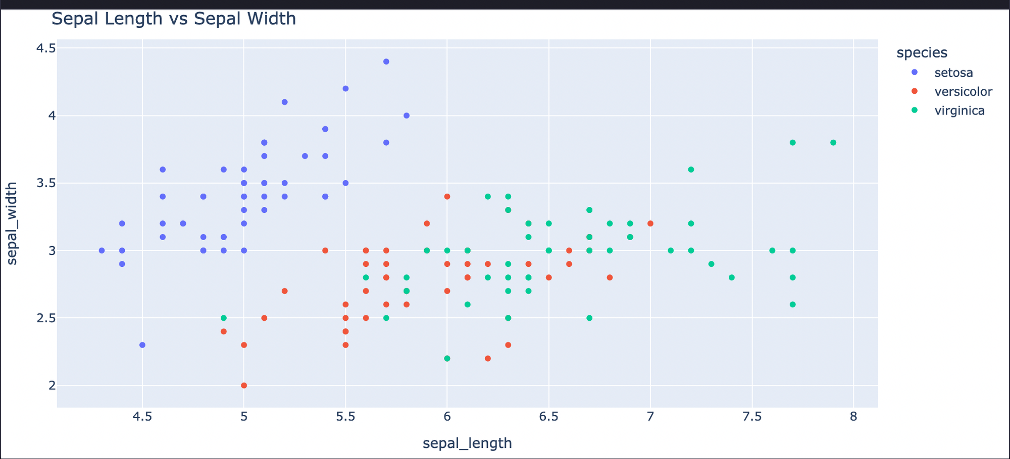 sepal length