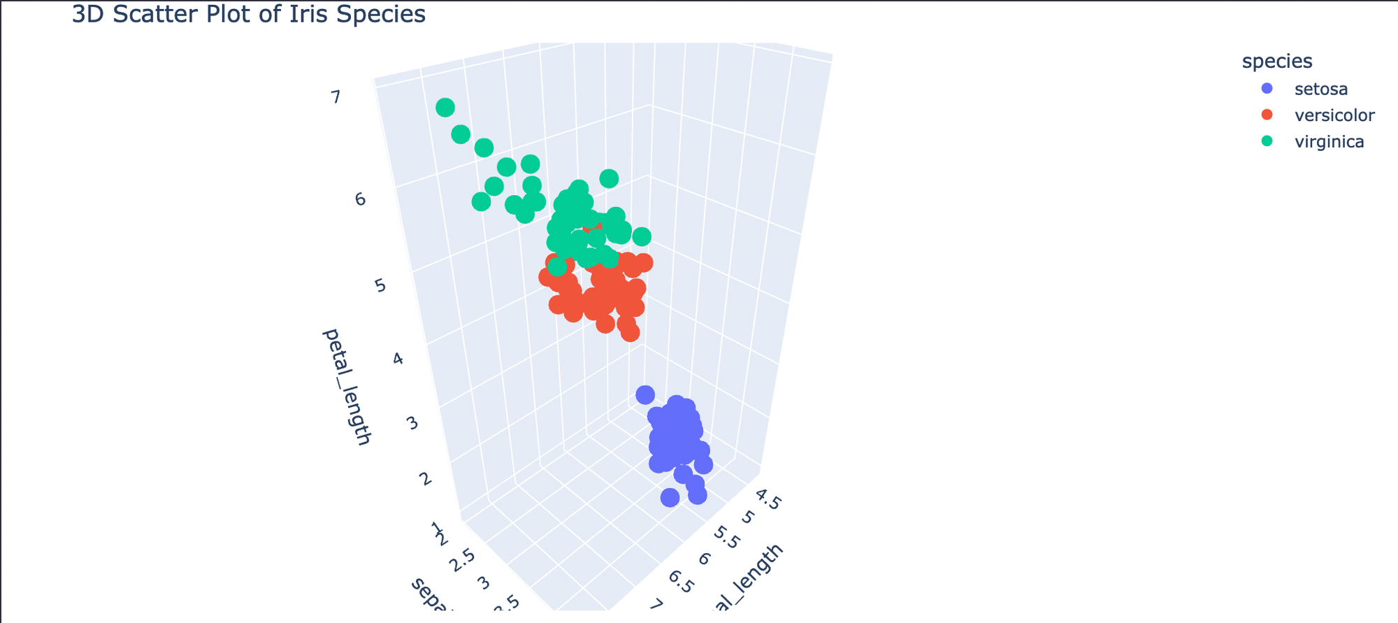 3d scatter plot