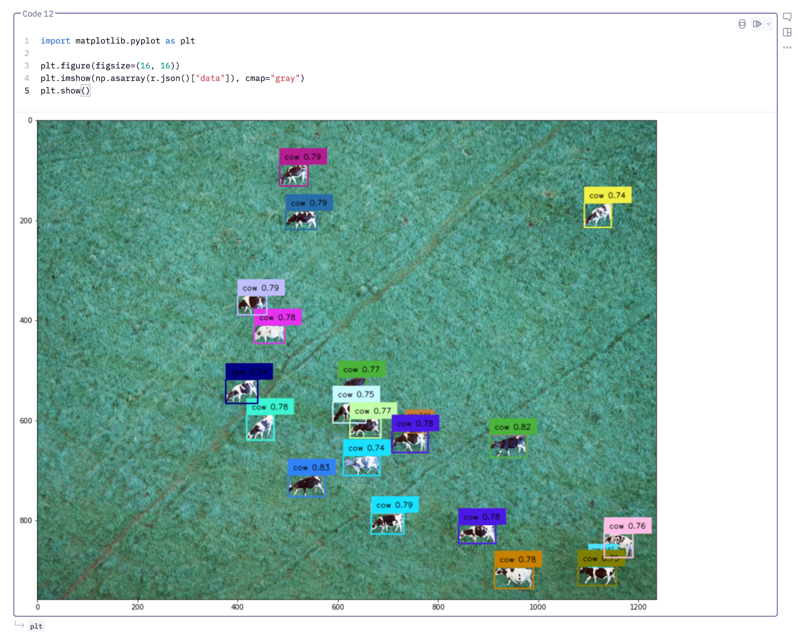 Cows image recognition code