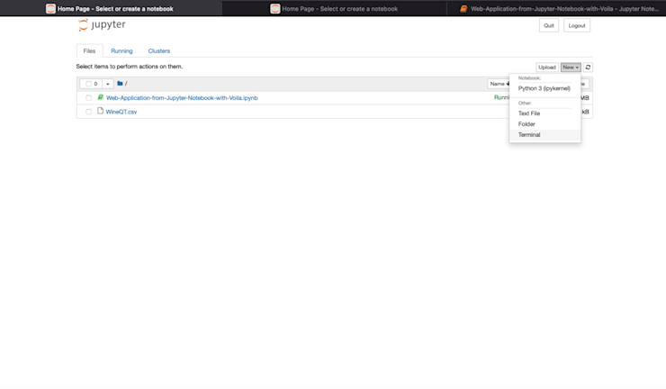 Open Jupyter Terminal