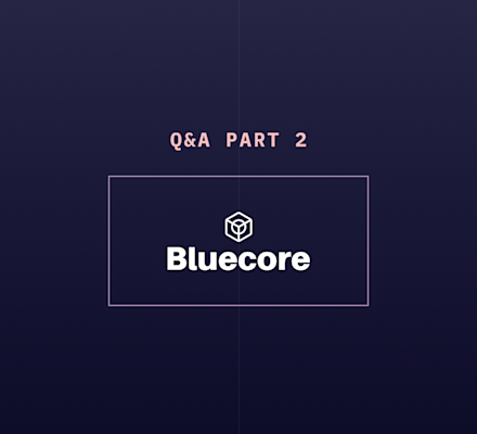 Q&A with Bluecore’s Data Team: Part 2 | Hex