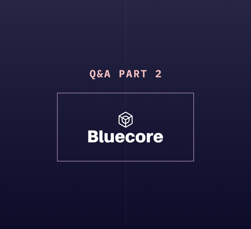 Q&A with Bluecore’s Data Team: Part 2 | Hex