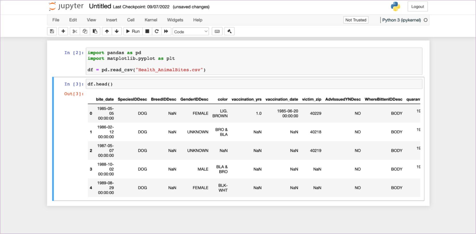 A beginner’s guide to Python notebooks | Hex