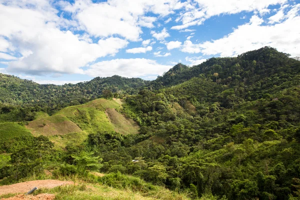 View from a Nicaragua coffee farm