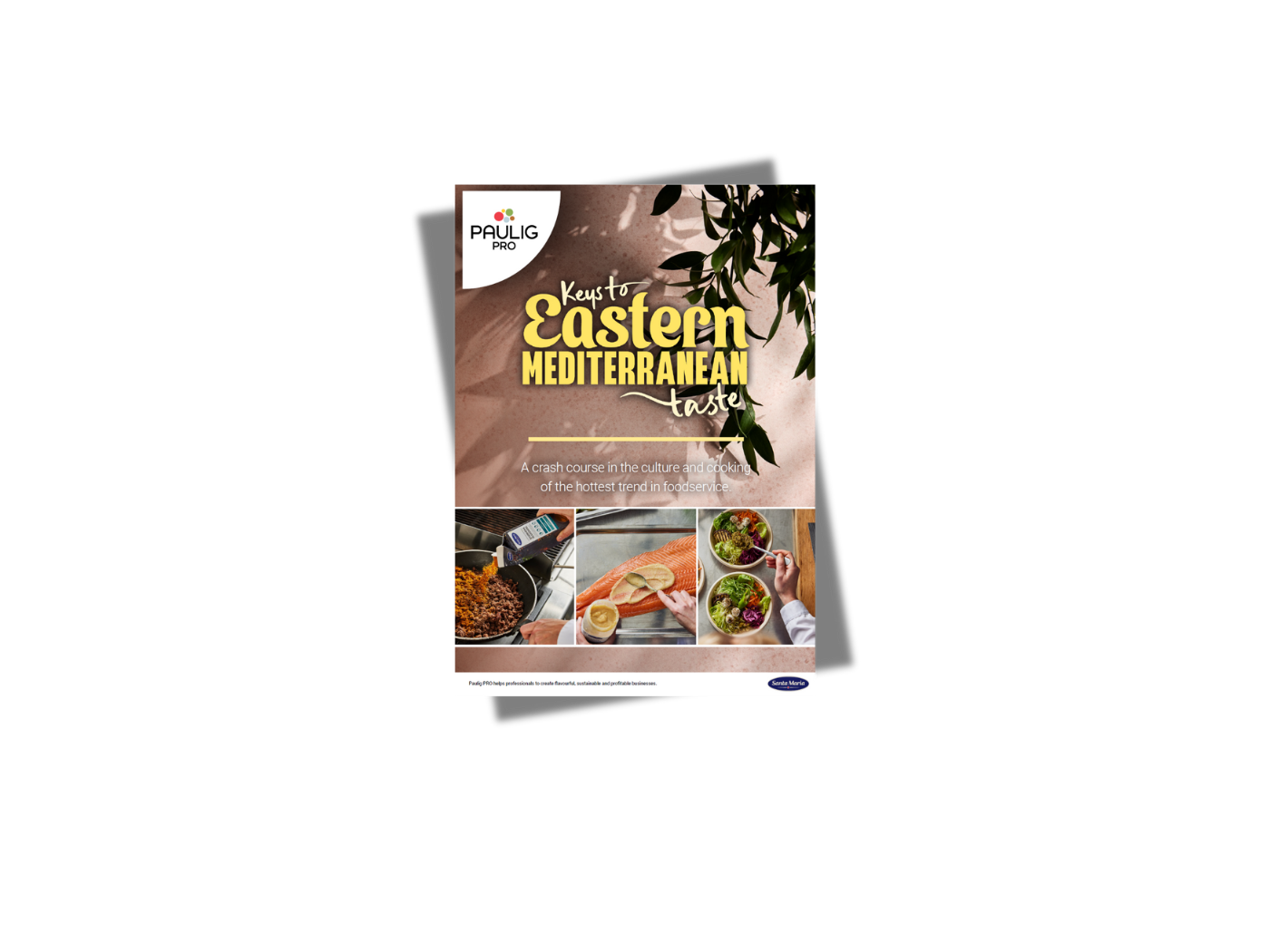 KTEMT brochure