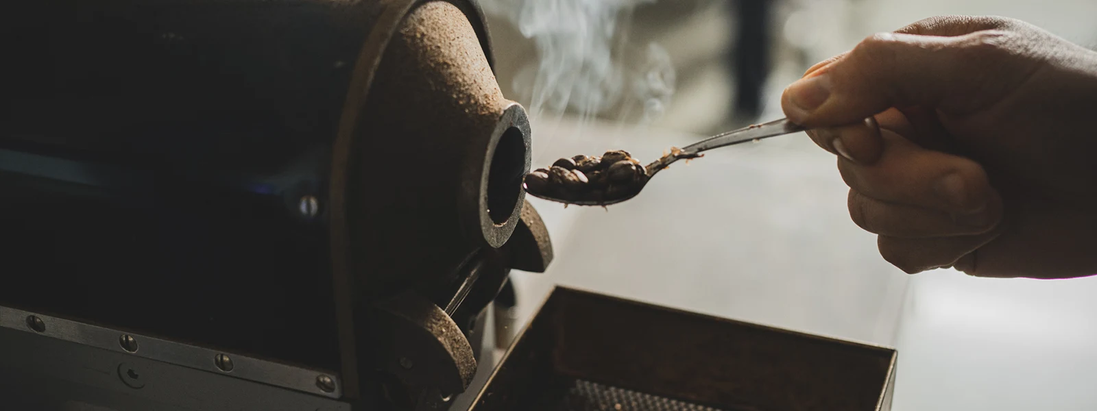 A hand picking freshly roasted beans with a spoon