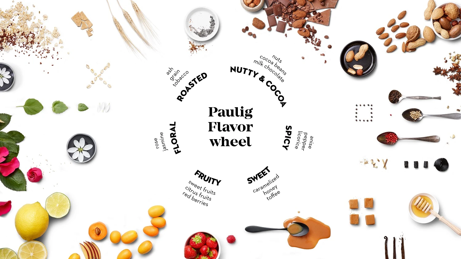 Paulig Flavor wheel