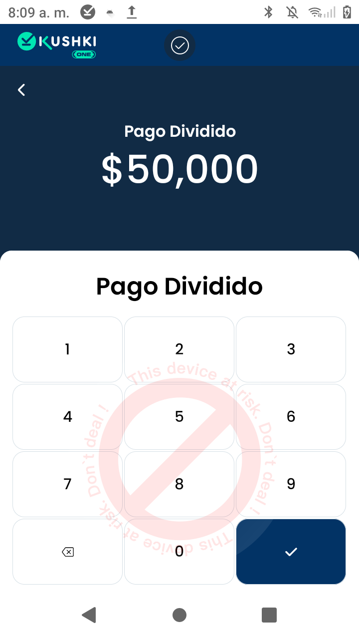 Ingresar monto pago dividido